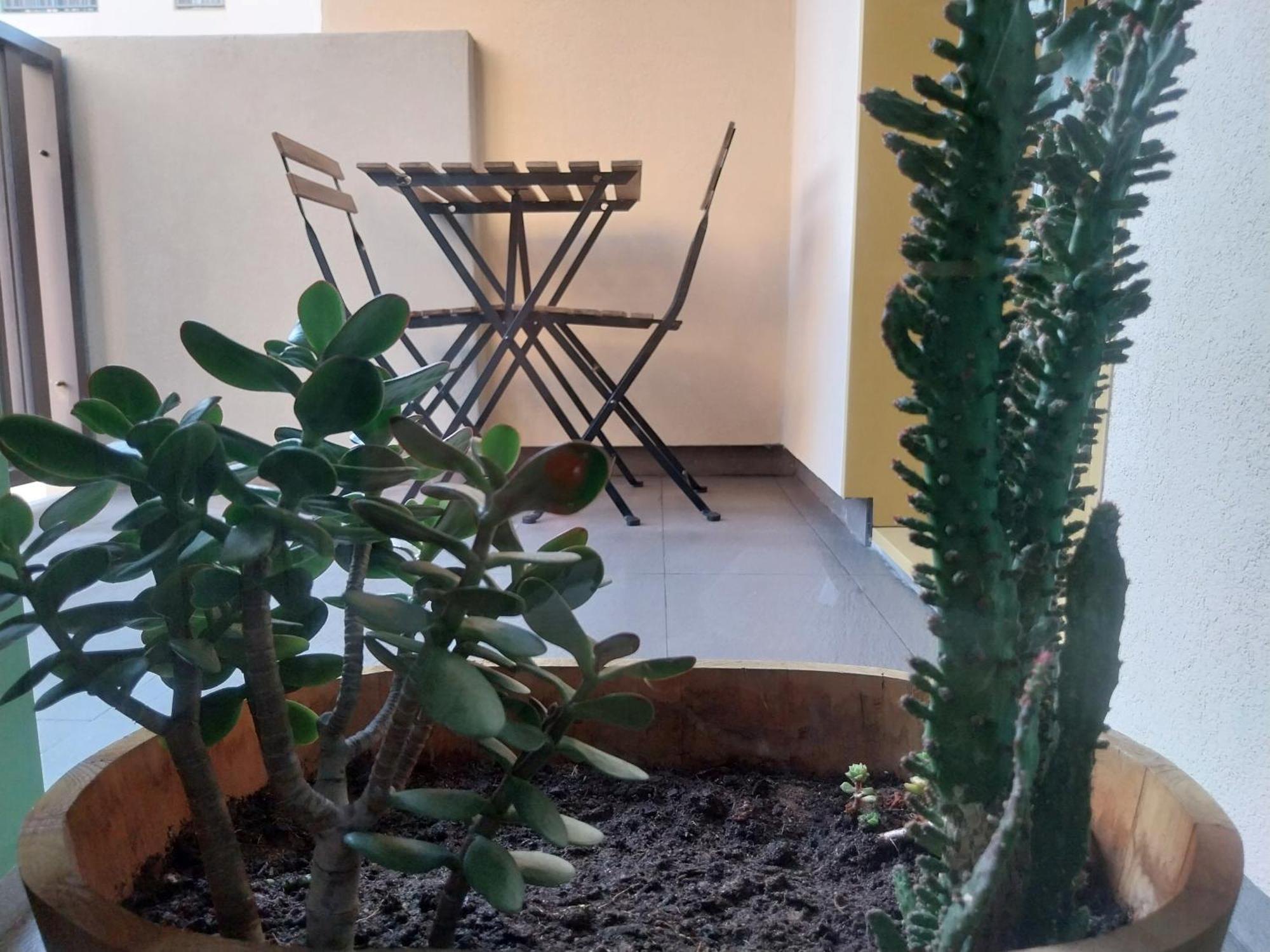 Alojamento Calypso Póvoa de Varzim Exterior foto